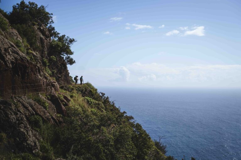 Landschappen op Madeira - Vues à Madère - Landschappen op Madeira - Landschaften auf Madeira