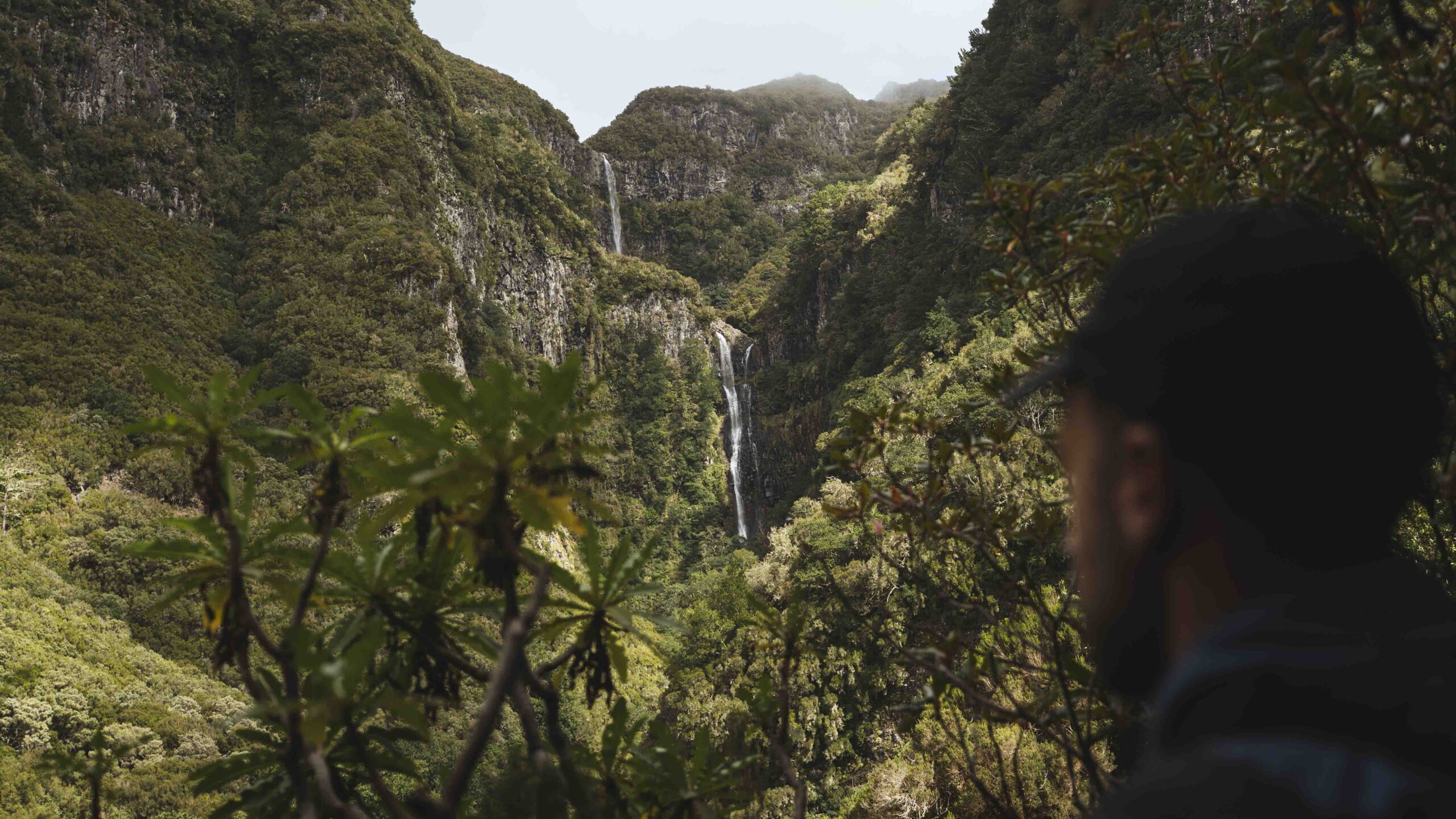 Montagnes à Madère - Bergen op Madeira - Berge auf Madeira - Mountains in Madeira