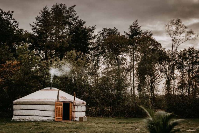 Yurt in de drentse bossen