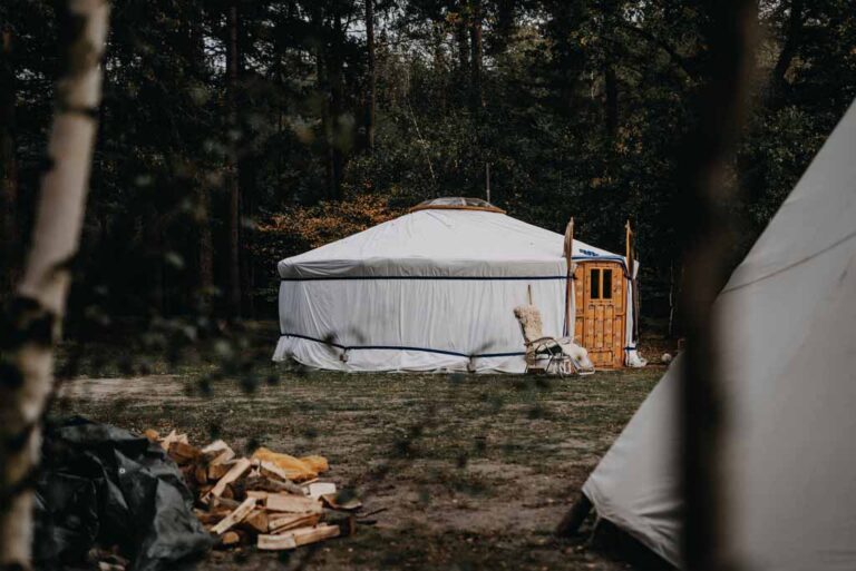 Yurt in de drentse bossen