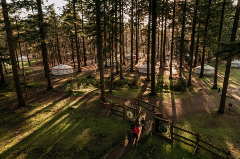 Bovenaanzicht winterwoods