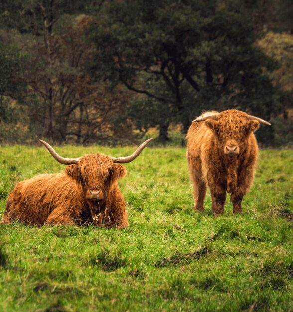 Randonnée en ecosse - Hiking in Scotland - Wandelen in Schotland