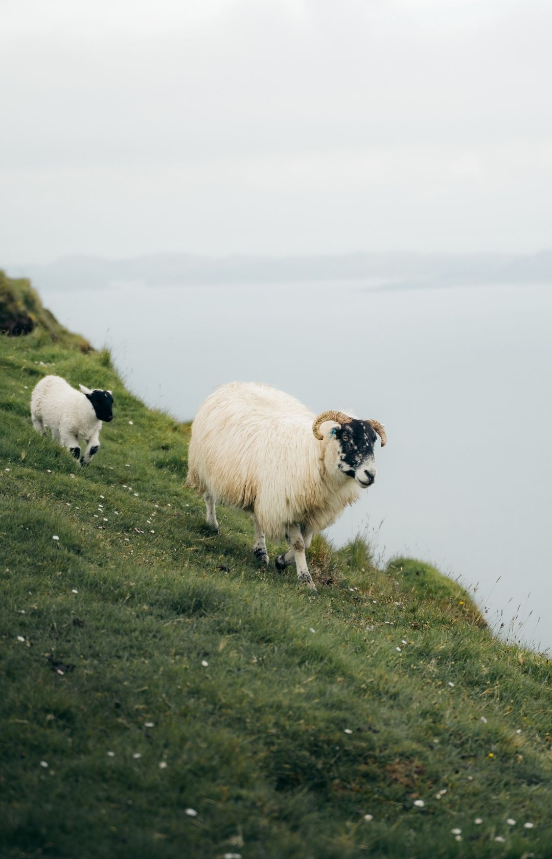 Schotland bezienswaardigheden