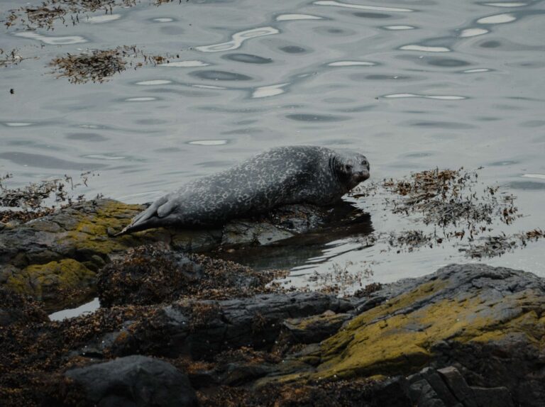 Randonnée en ecosse - Hiking in Scotland - Wandelen in Schotland