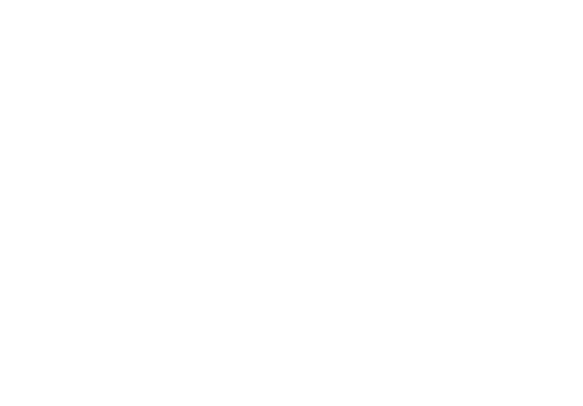 Snow Tribe logo