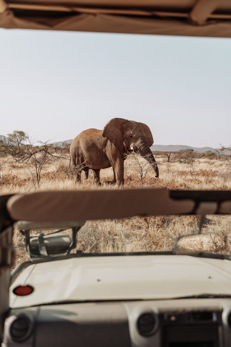 groepseis namibië - rondreis namibie - roadtrip namibie