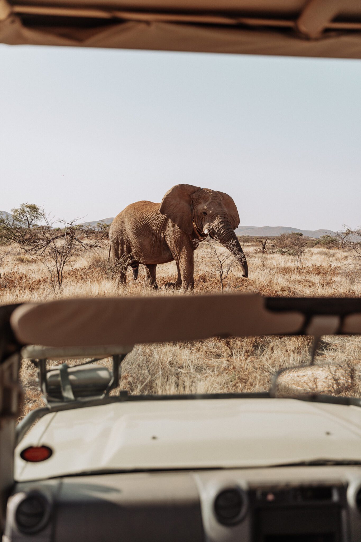 groepseis namibië - rondreis namibie - roadtrip namibie