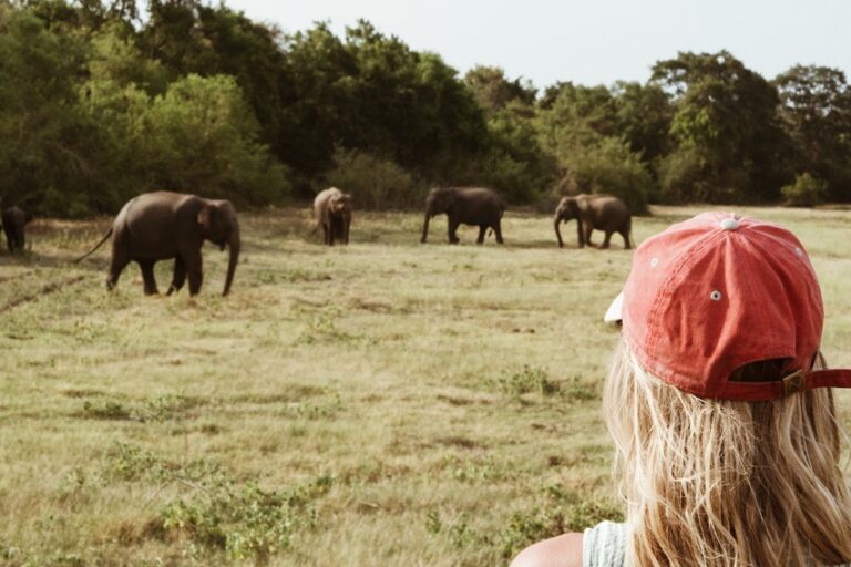 Groepreis in Sri Lanka