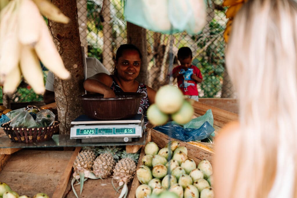 Groepsreis Sri Lanka -beste reistijd sri lanka - rondreis sri lanka