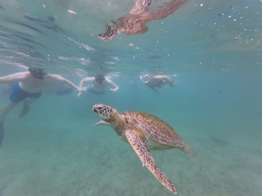 Groepsreis Sri Lanka
