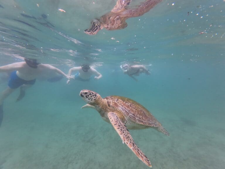 Groepsreis Sri Lanka