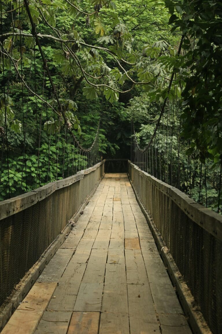Groepsreis costa rica - rondreis costa rica - beste reistijd costa rica
