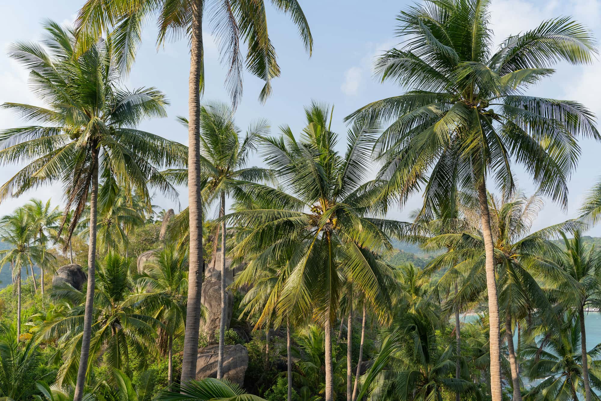 rondreis costa rica - groepsreis costa rica - beste reistijd costa rica