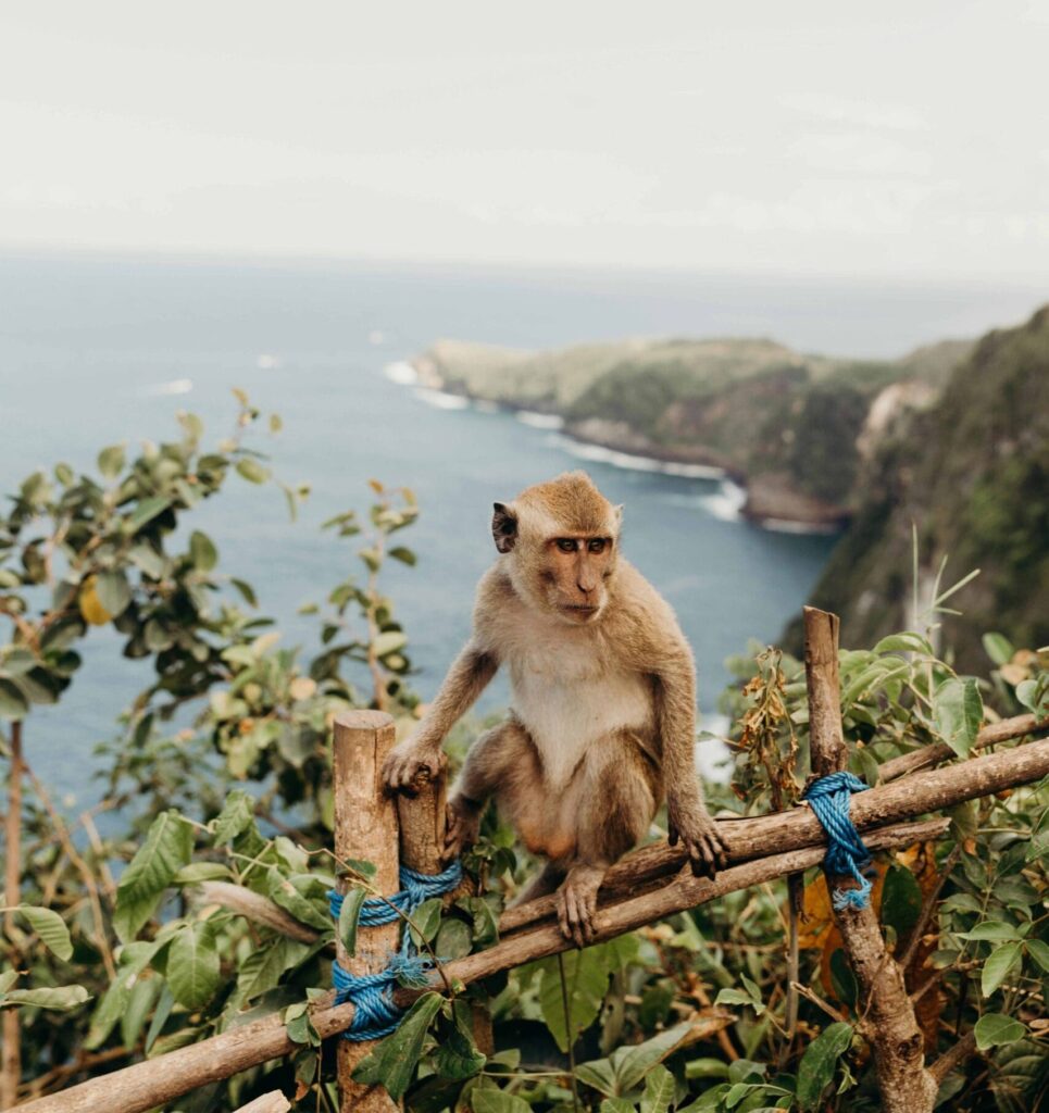 beste reistijd bali - groepsreis bali - rondreis bali