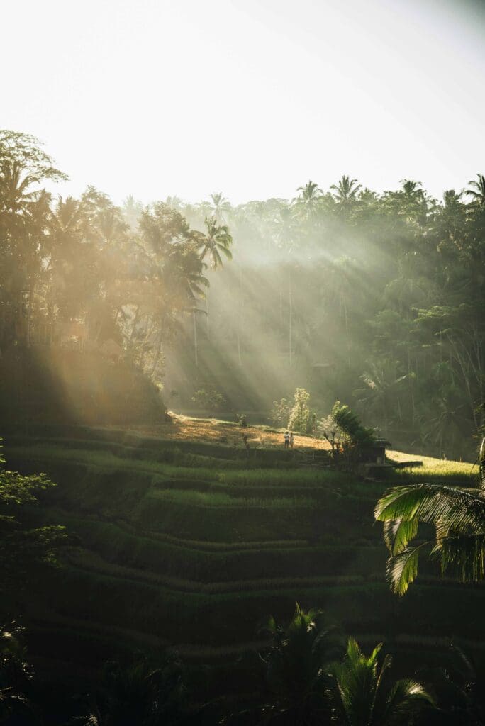 beste reistijd bali - groepsreis bali - rondreis bali