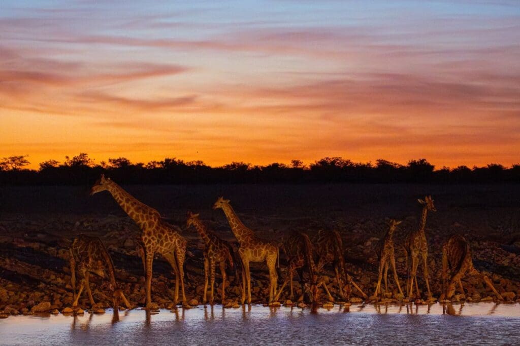 groepseis namibië - rondreis namibie - roadtrip namibie