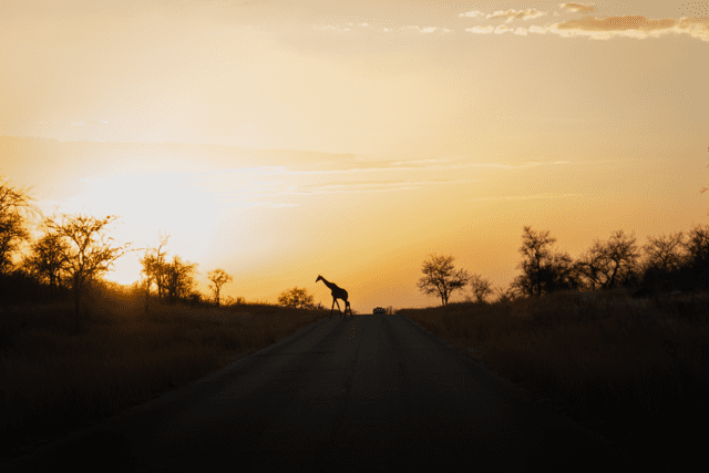 groepseis namibië - rondreis namibie - roadtrip namibie