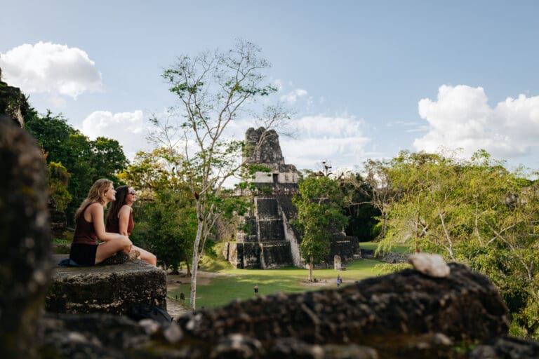 Groepsreis Guatemala - 14 daagse doorreis Guatemala - Vakantie in Guatemala - soloreizen Guatemala - Tikal - wildlife Guatemala - apen in Guatemala