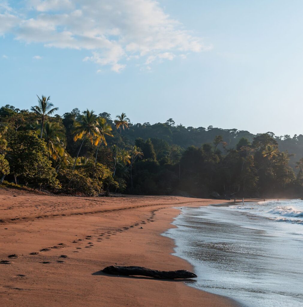 Groepsreis Costa Rica - wildlife Costa Rica - Rondreis Costa Rica - Reisoute Costa Rica - Ultieme reisroute door Costa Rica