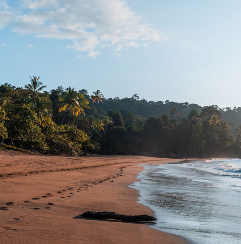 Groepsreis Costa Rica - wildlife Costa Rica - Rondreis Costa Rica - Reisoute Costa Rica - Ultieme reisroute door Costa Rica