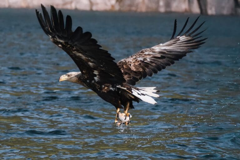 groepsreis lofoten - rondreis lofoten - beste reistijd lofoten