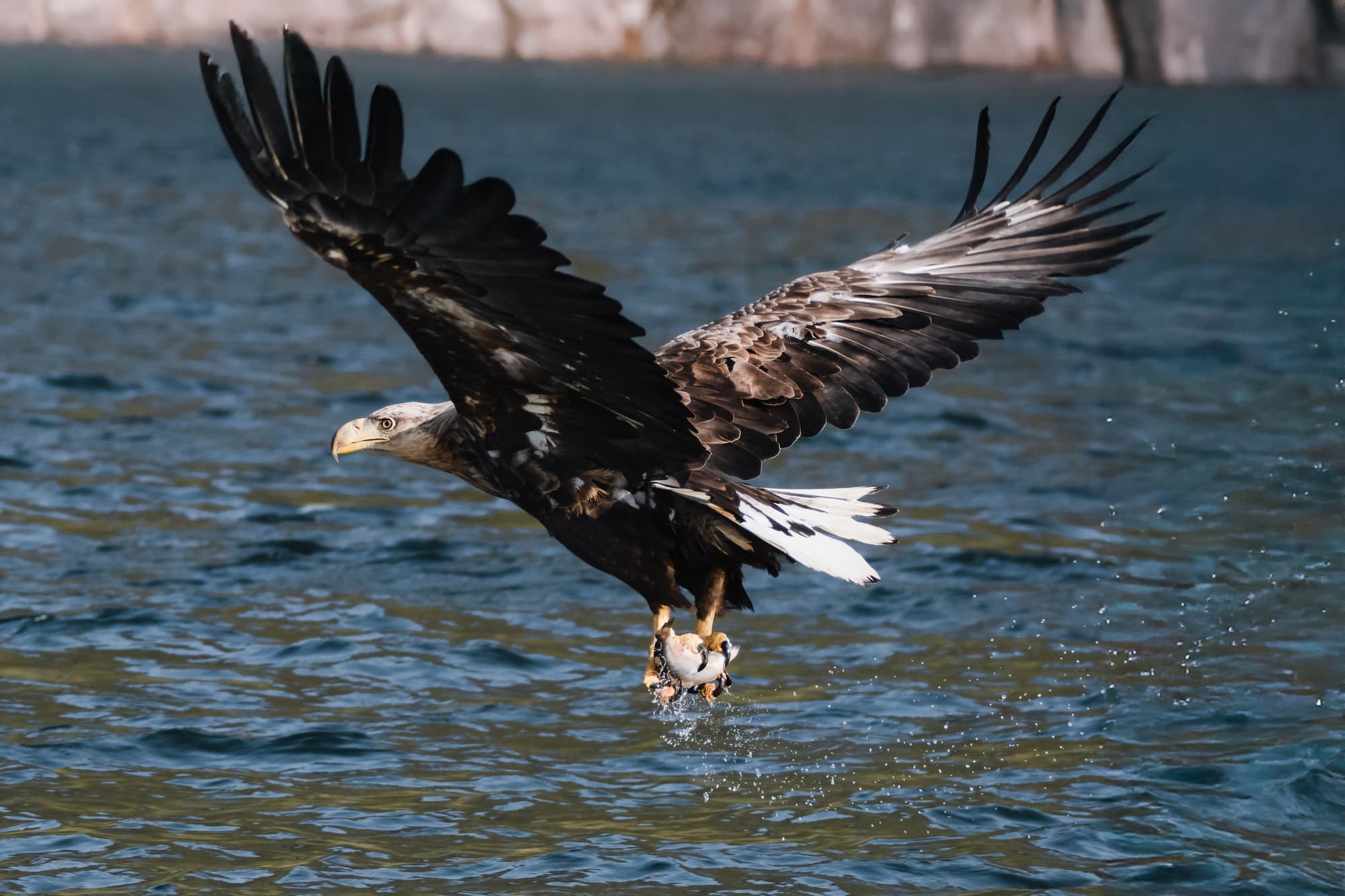 groepsreis lofoten - rondreis lofoten - beste reistijd lofoten