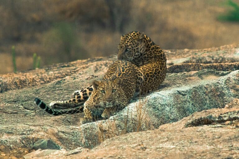 Groepsreis India - weadventures india