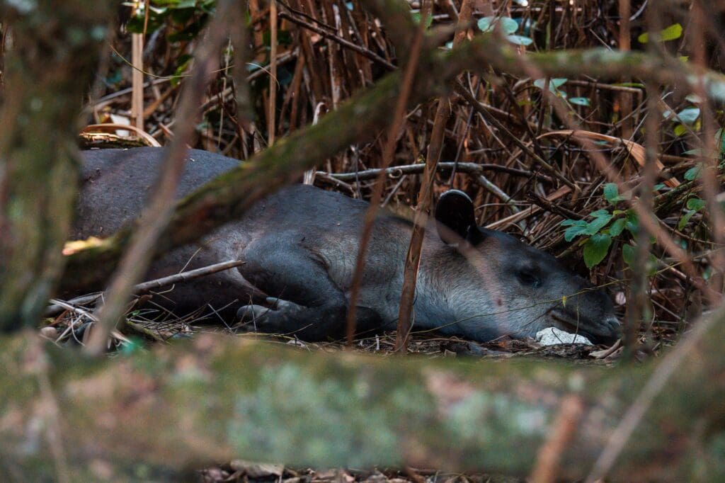 Groepsreis Costa Rica - Tweewekse Costa Rica reis- Avontuurlijk Costa Rica