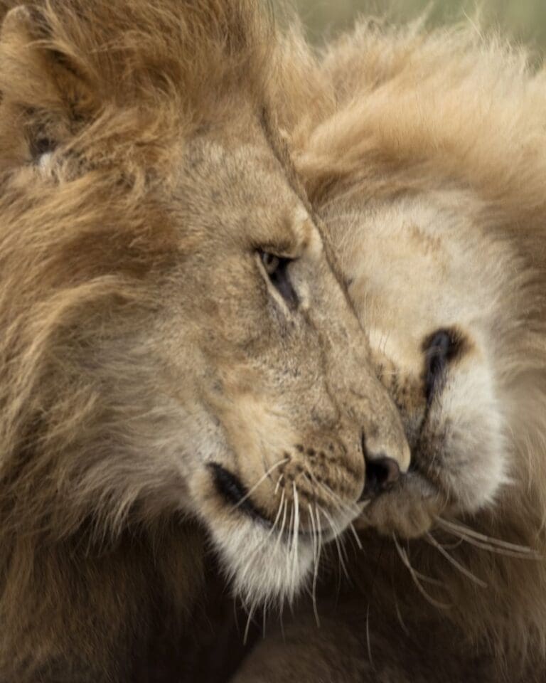 Route Tanzania - groepsreis Tanzania - Tanzania Reis