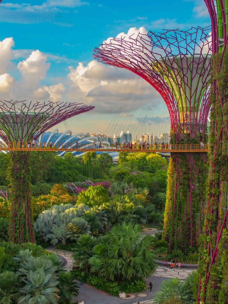 groepsreis Maleisië & Singapore - rondreis Maleisië & Singapore - Maleisië & Singapore reis