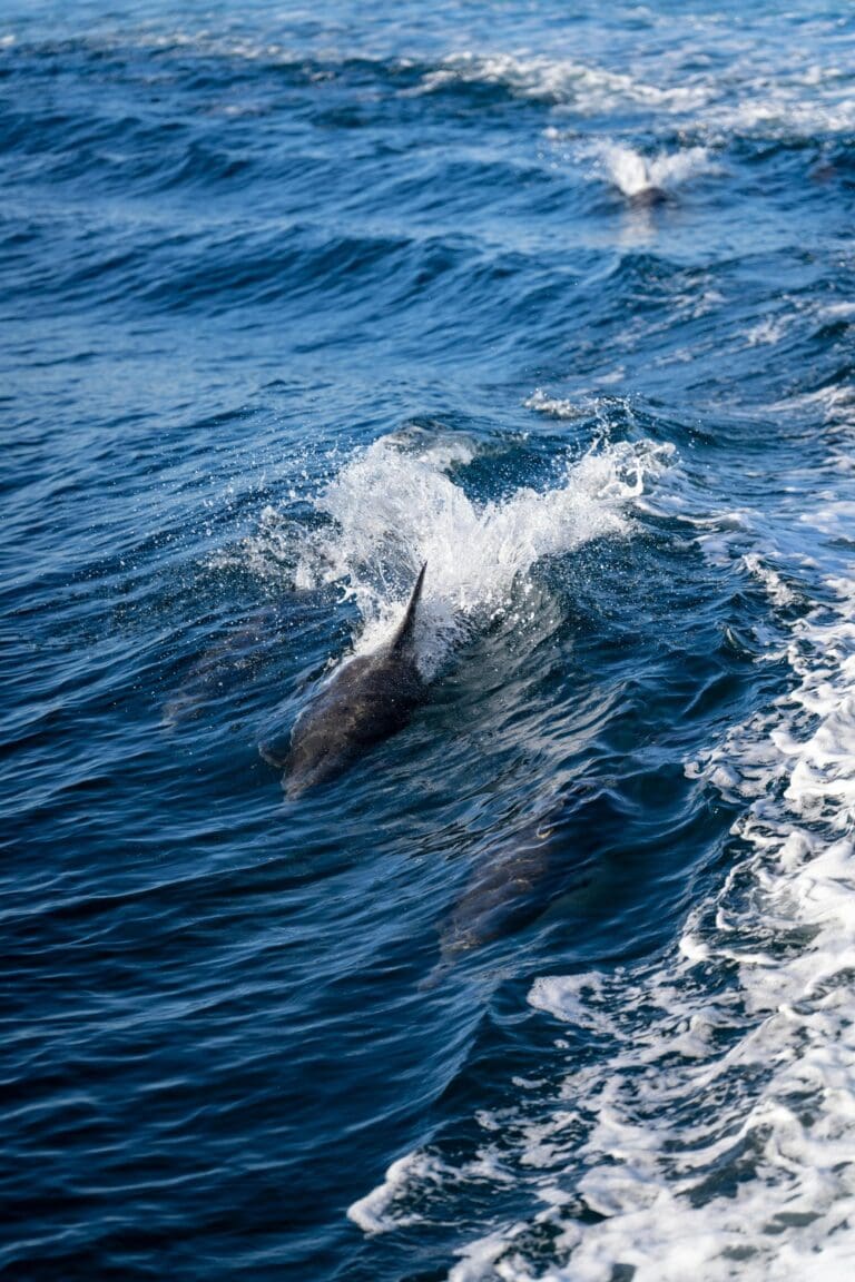 groepsreis Filipijnen - rondreis Filipijnen - Filipijnen reis
