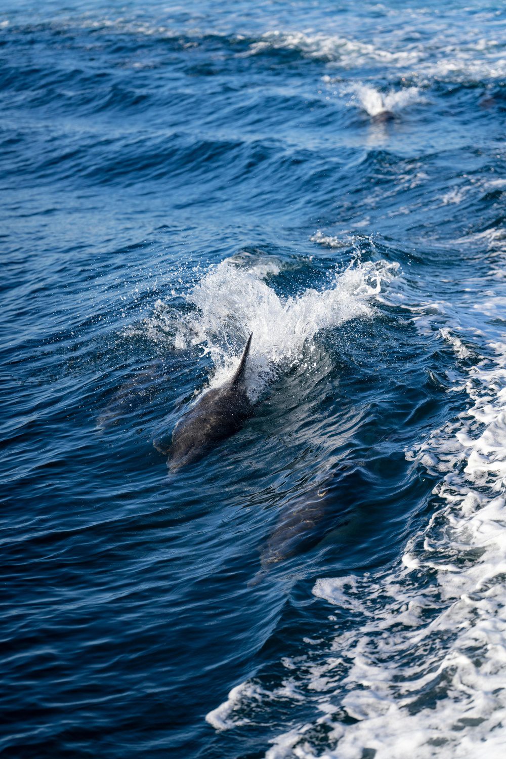 groepsreis Filipijnen - rondreis Filipijnen - Filipijnen reis
