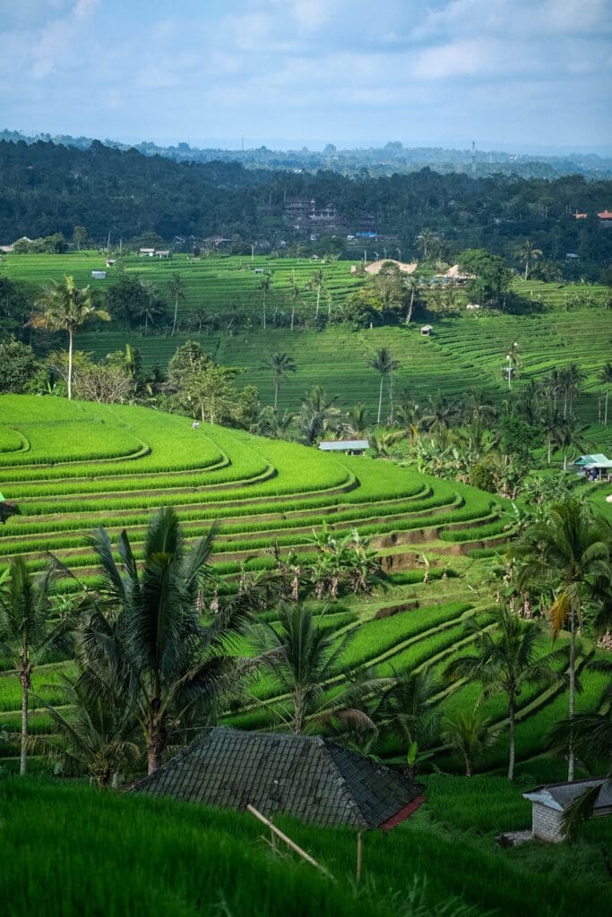 Groepsreis Bali - Beste reistijd Bali - Beste periode Bali - Doorreis Bali - Nusa Penida - Gili Islands - Gili Trawangan - Natuur in Bali - Vakantie in Bali - Beste reistijd Bali - Klimaat Bali