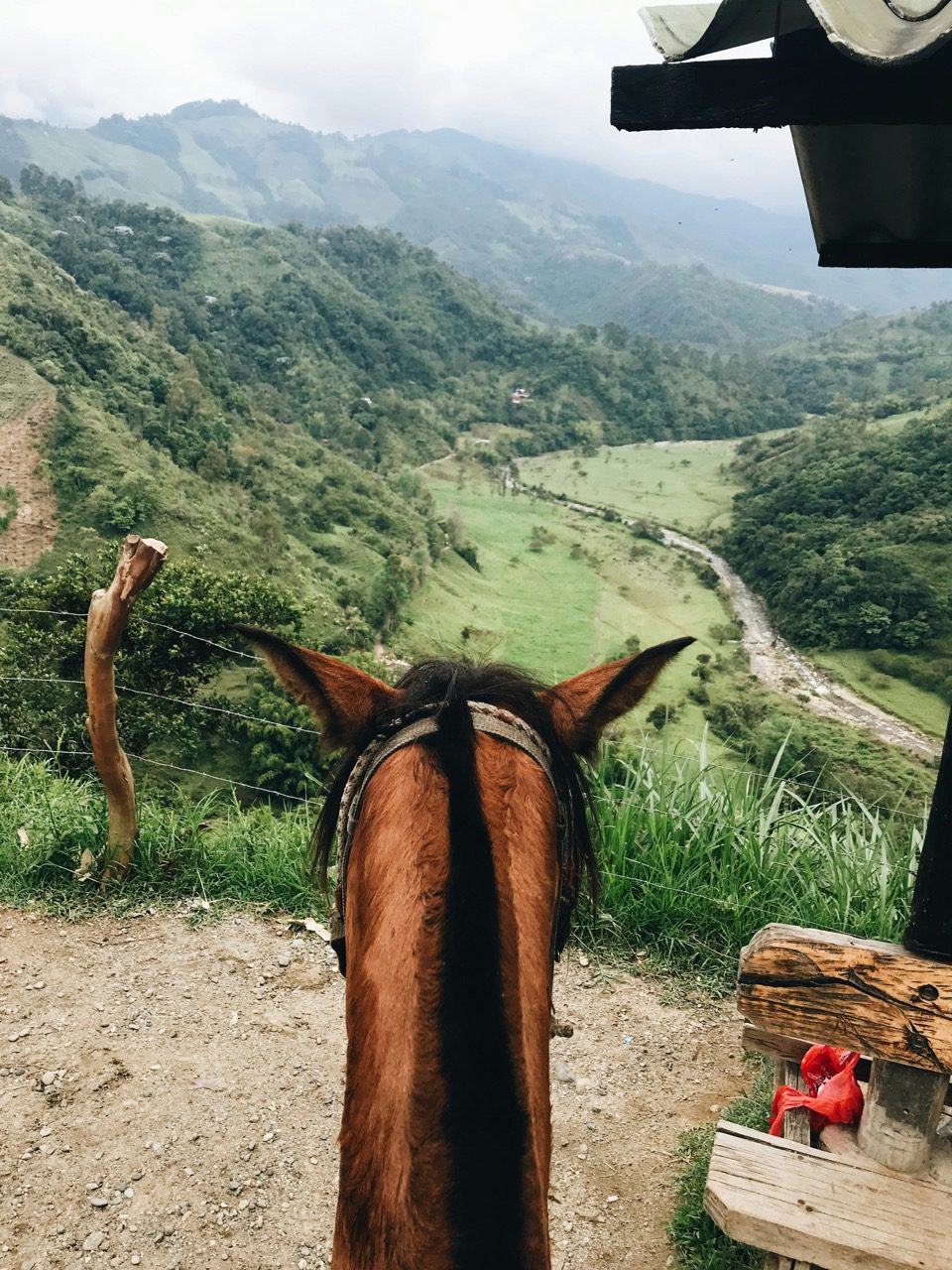 groepsreis colombia - rondreis colombia - cocora valley colombia - weadventures colombia