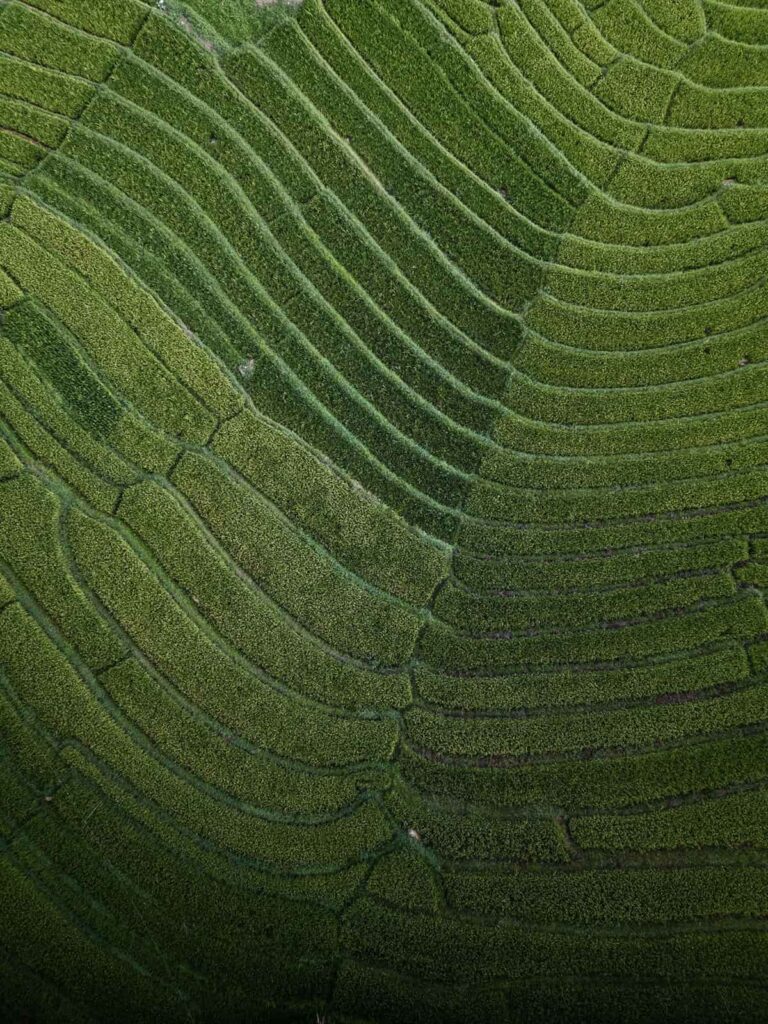 Groepsreis Sri Lanka - rondreis sri lanka - beste reistijd sri lanka
