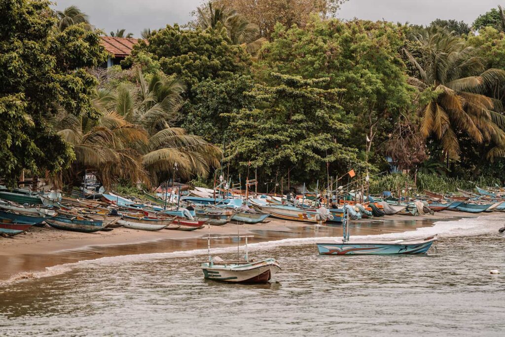 Groepsreis Sri Lanka - rondreis sri lanka - beste reistijd sri lanka