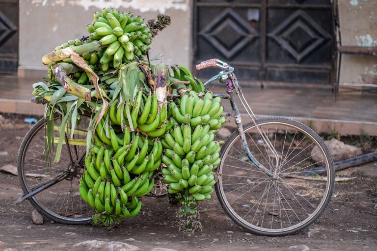 Groepsreis Tanzania - rondreis Tanzania - WeAdventures Tanzania