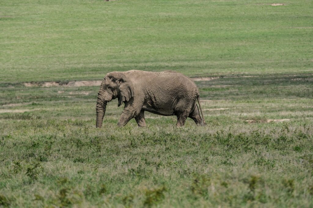 Groepsreis Tanzania - rondreis Tanzania - WeAdventures Tanzania