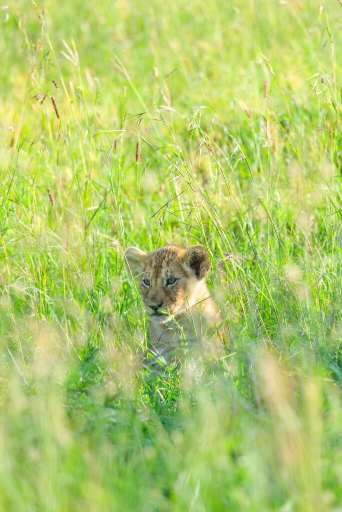 Groepsreis Tanzania - rondreis Tanzania - WeAdventures Tanzania