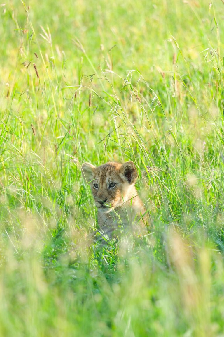 Groepsreis Tanzania - rondreis Tanzania - WeAdventures Tanzania