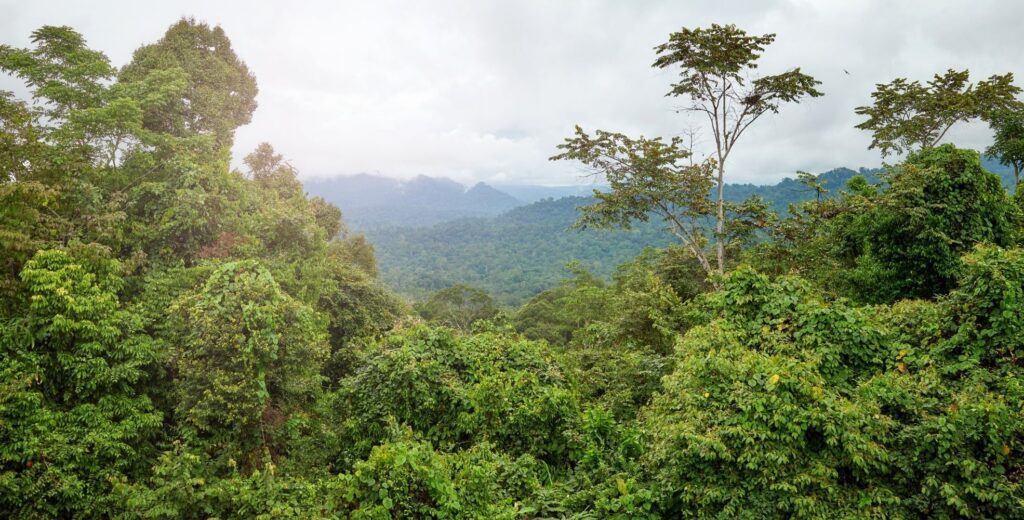 Rondreis Madagascar- groepsreis Madagascar