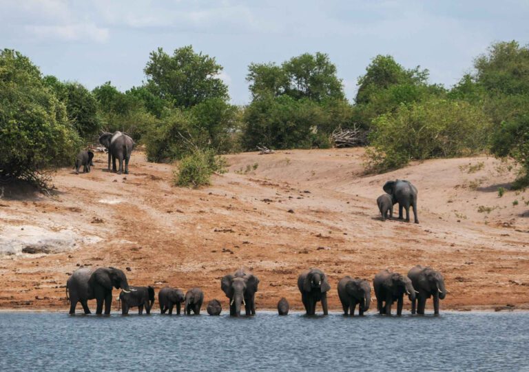 Rondreis Botswana - groepsreis Botswana