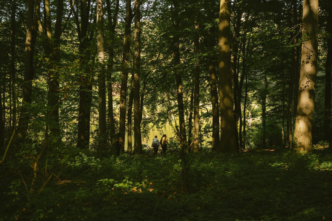 Groepsreis MullerthalTrail - TrailMullerthal - Trail