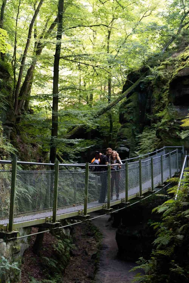Groepsreis MullerthalTrail - TrailMullerthal - Trail