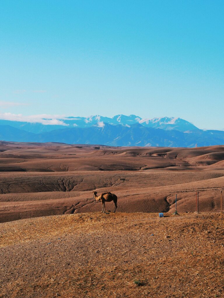 Landscape with mountains in the background, Landscape with mountains in the background.
