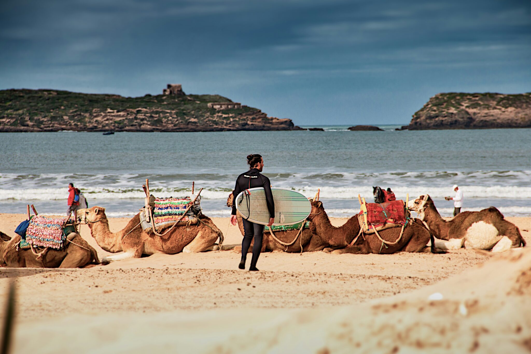 plage dromadaire maroc paysage surf
