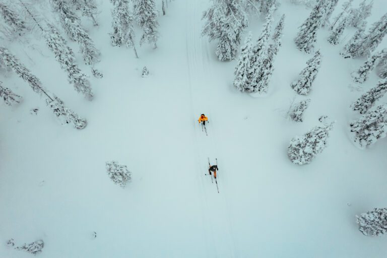 Ski de fond en Laponie
