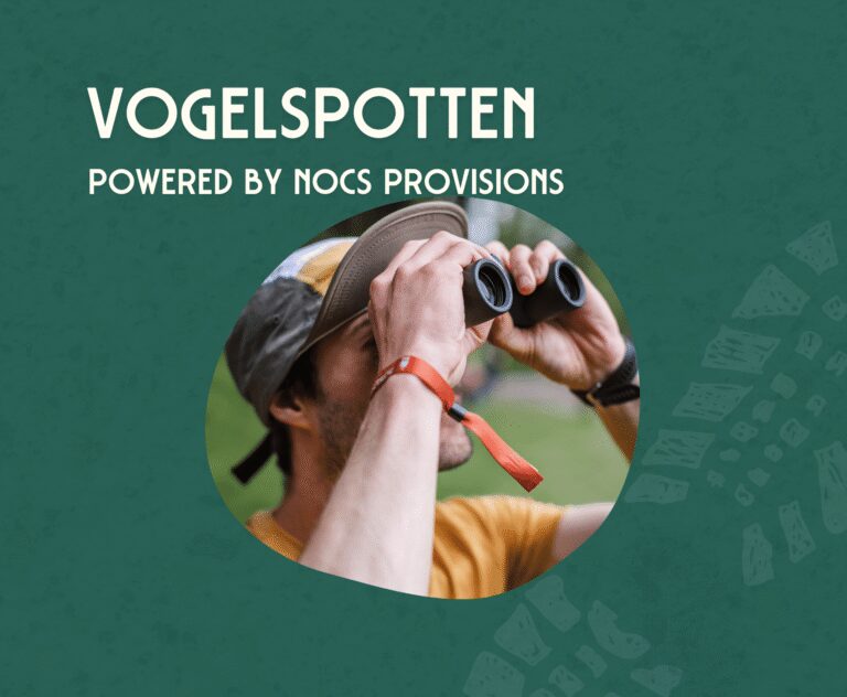 vogelspotten